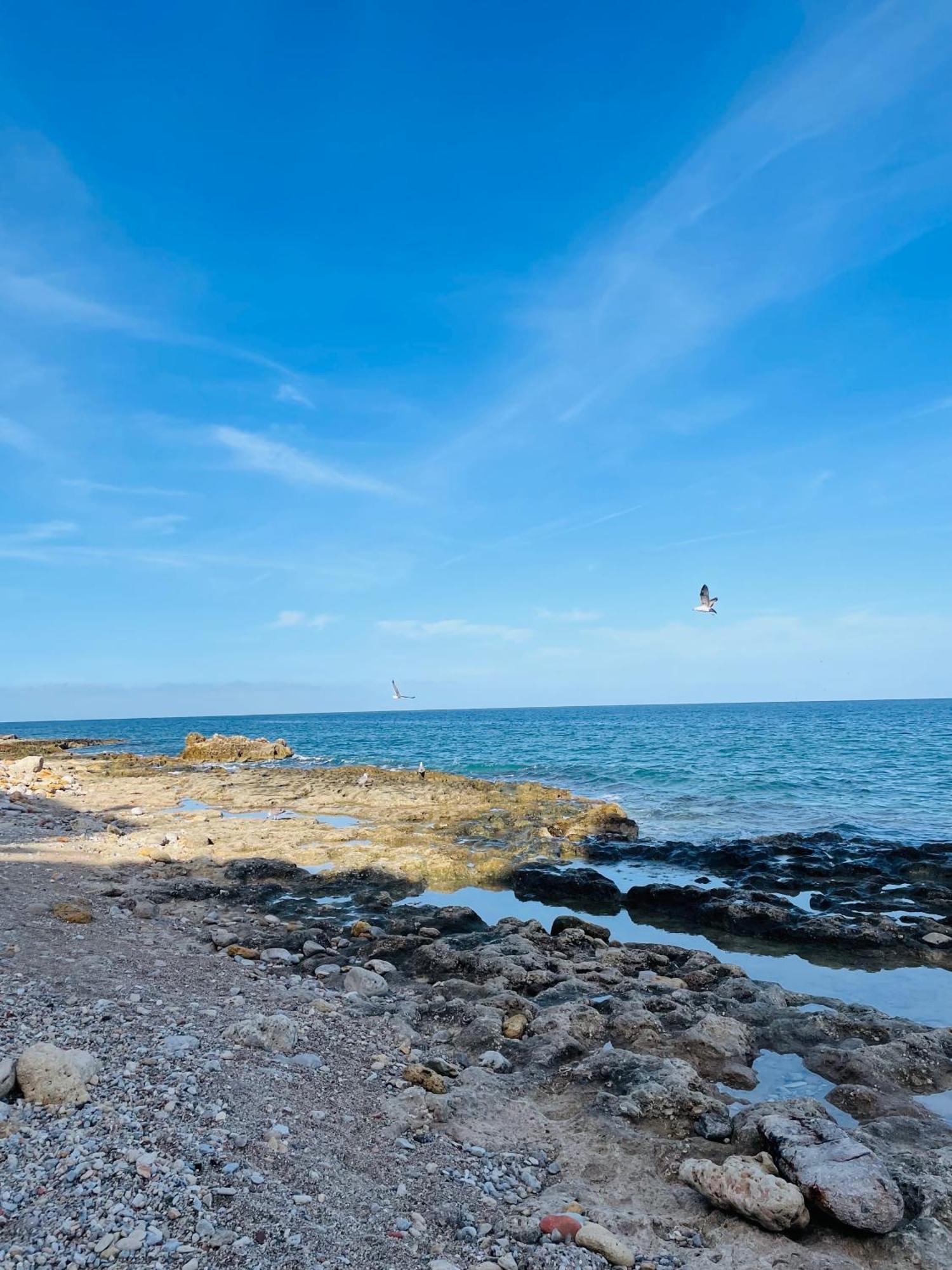 Sea View Tonnara Appartamento Palermo